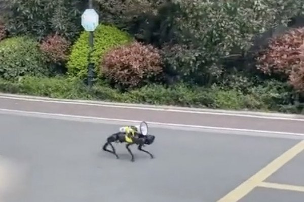 Un chien robot rappelle les règles du confinement aux habitants (Shangaï)