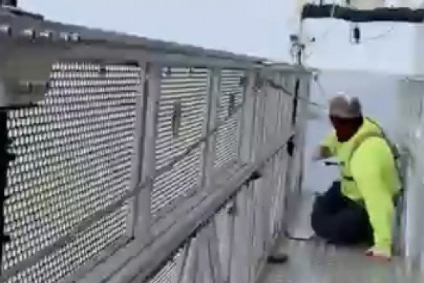 Des ouvriers se font attaquer par un faucon