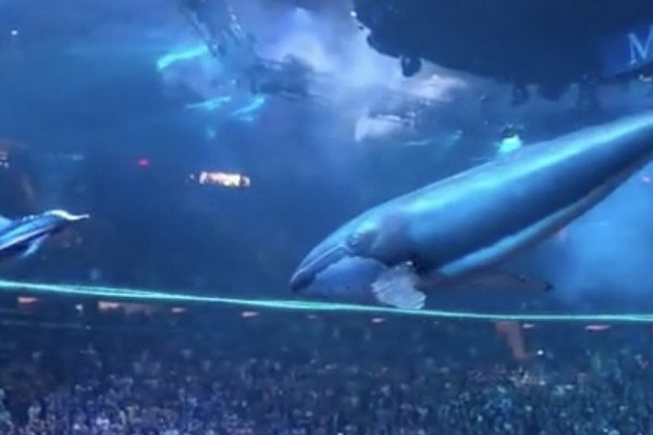 Les baleines volantes du Madison Square Garden