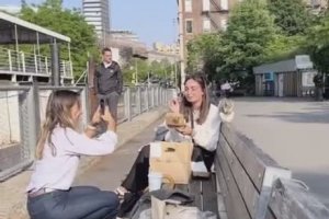 Un écureuil mange des frittes avec des touristes