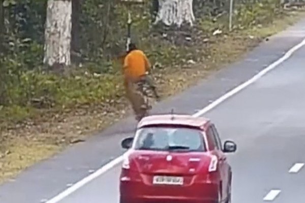 Un jeune en vélo se fait attaquer par un léopard, la prochaine fois il prendra le bus