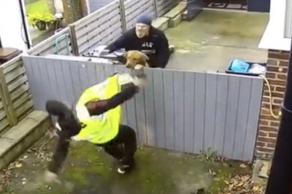 Un chien met un gros coup de flippe Ă un livreur