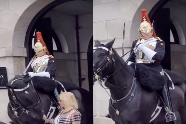 Une touriste touche les rênes du cheval d'un garde royal anglais