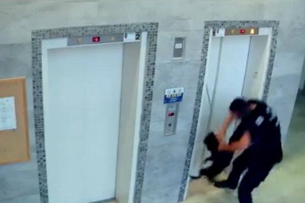 Un policier sauve un chien coincé dans les portes d'un ascenseur
