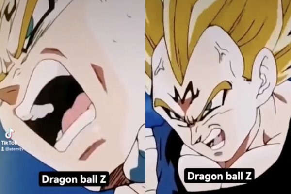 Vegeta a bien changé