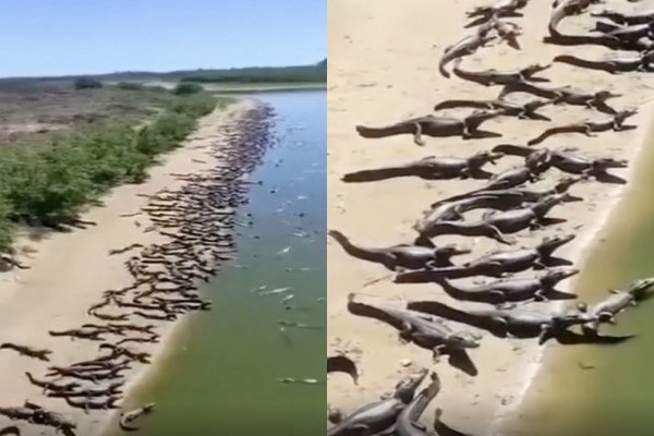 Il n'y a jamais de touristes sur cette plage (Brésil)