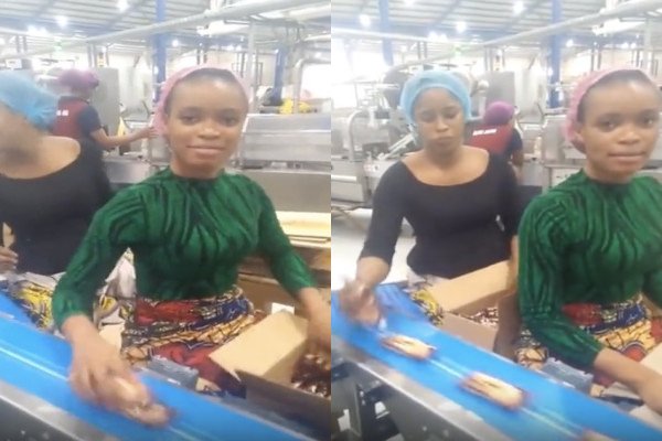Deux femmes remplissent des cartons de biscuits dans une usine
