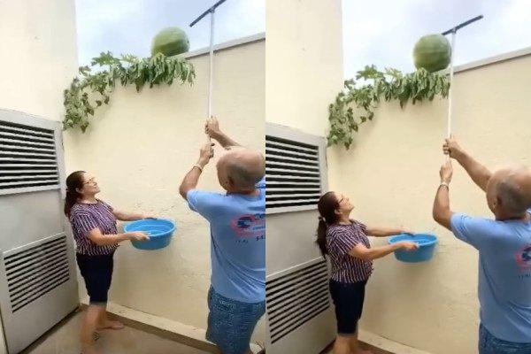 Un couple fait tomber une pastèque dans une bassine