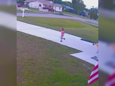 Un chien sauve une petite fille de l'attaque d'un autre chien