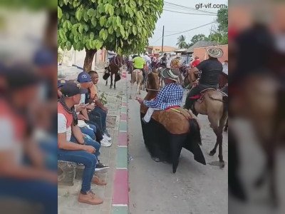 Un poney he he !