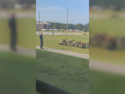 Entraînement militaire
