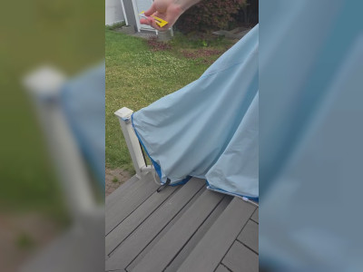 Une friandise pour amadouer un chat chasseur