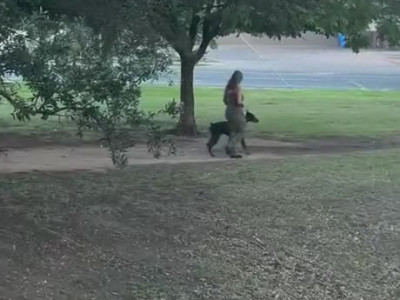 Un bon chien