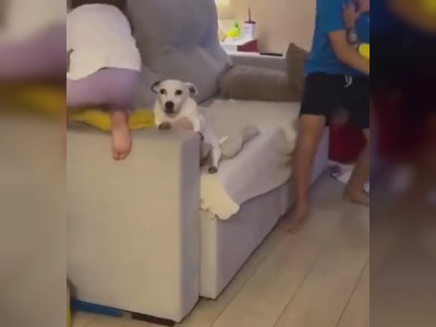 Entourée d'animaux à la maison