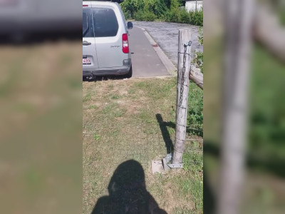 Un antivol de voiture 100% naturel