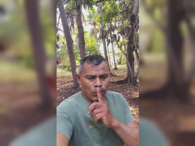 Il s'enferme dans un sac plein de guêpes