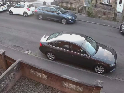 Une corneille attaque une femme dans la rue