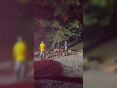L'abattage d'un arbre frappé par la foudre