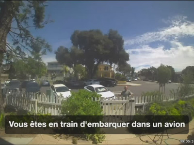 Ce chien de garde ne sert à rien