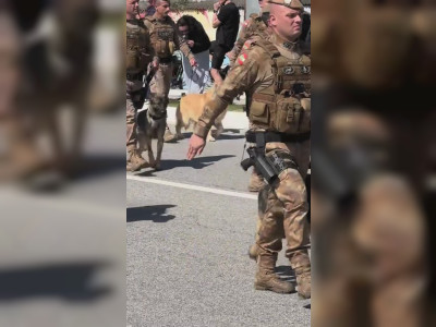 Un Golden Retriever au défilé militaire