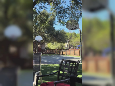 Cet oiseau se prend pour un ballon de basket