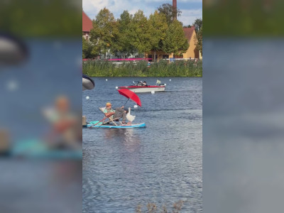 Du paddle avec une oie et un parapluie