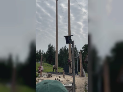 Concours d'escalade de troncs d'arbres
