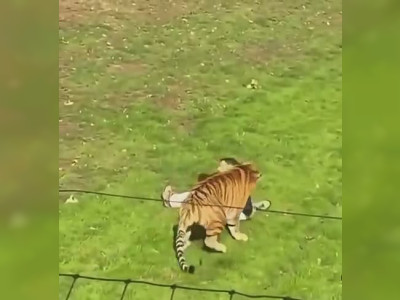 Pepsi au zoo du Yorkshire